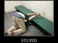 Stupid