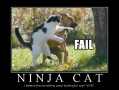 Ninja Cat