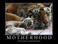 Motherhood