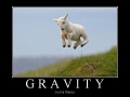 Gravity