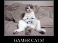 Gamer Cats