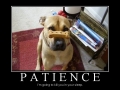 Patience