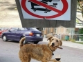 Go ahead, I'll wait here