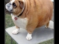 Hey big guy!
