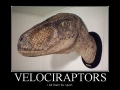 Velociraptors