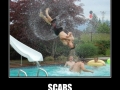 Scars