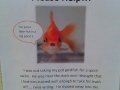 Missing Fish!