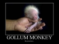 Gollum Monkey