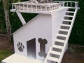 Amazing Dog House