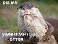 Dis ma significant otter