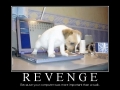 Revenge