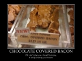 Chocolate Covered Bacon