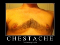 Chestache