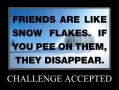 Challenge Accepted
