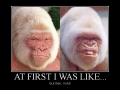 At first I was like