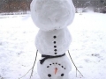 Go home Snowman..