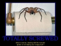 Totally screwed!