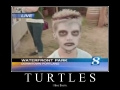 Turtles