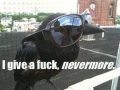 I give a f**k