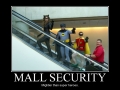 Mall Security