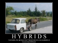 Hybrids