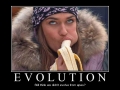 Evolution
