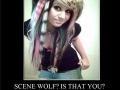 Scene Wolf