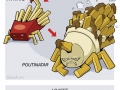 Food Evolutions