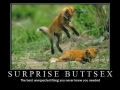 Surprise