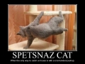 Spetsnaz Cat