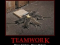 Team Work
