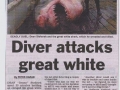 Meanwhile in Australia