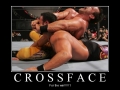 Crossface