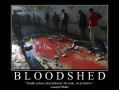 Bloodshed