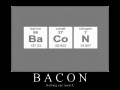 Bacon