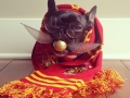 Harry Potter Dog