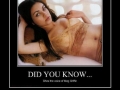 Did you know..