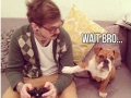 Gamer Dog