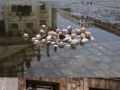 Awesome Street Art