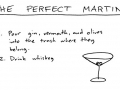 The Perfect Martini