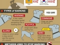 Why dogs bark