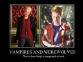 Vampires & Werewolves