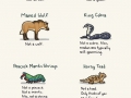 Animal Names
