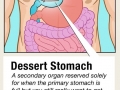 Dessert Stomach