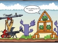 Angry Birds lately