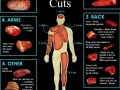Human Choice Cuts