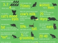 Facts about cats