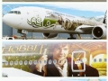 The Hobbit Airplane