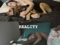 Sleeping with dogs