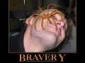 Think you're brave enough?